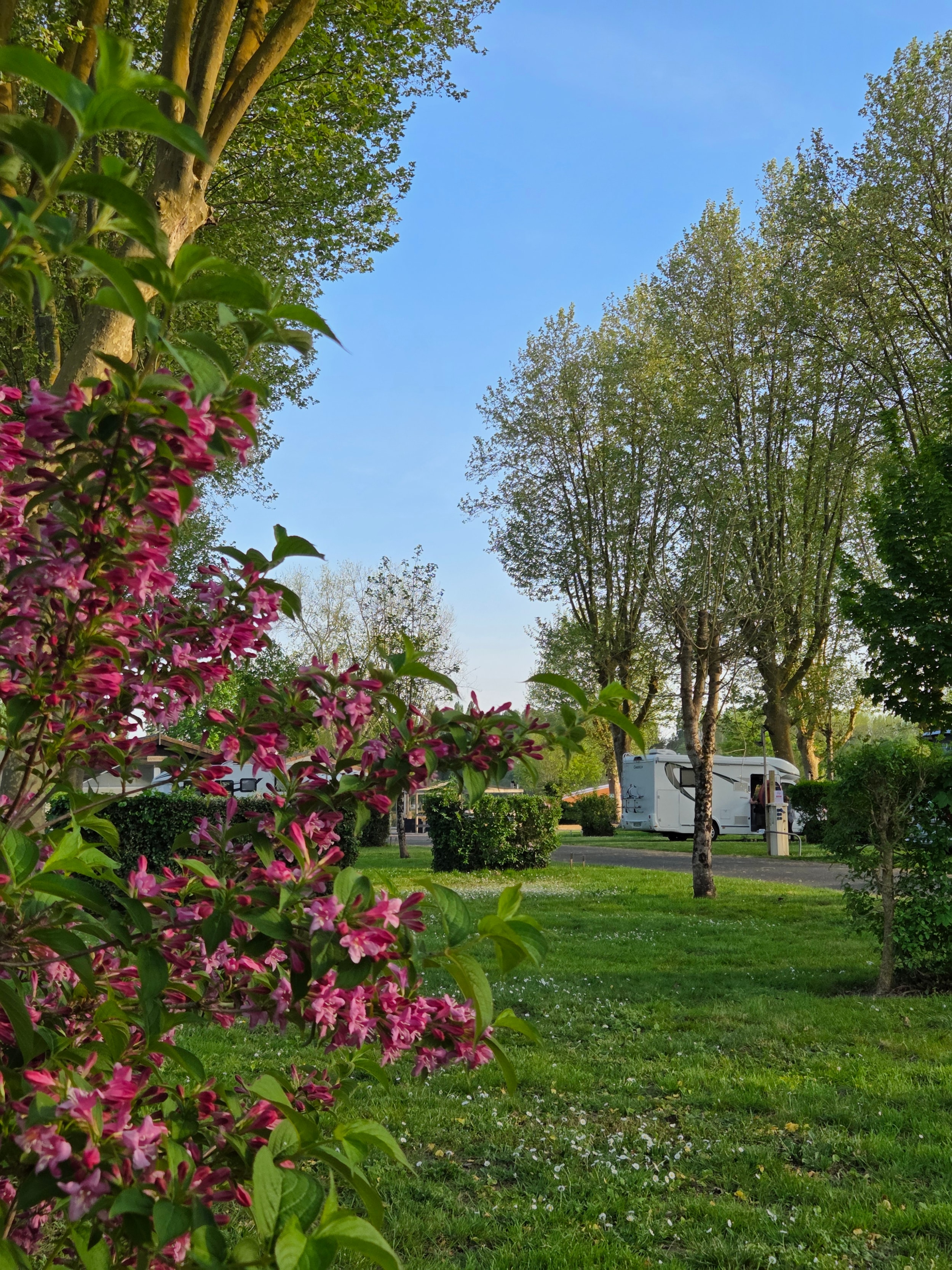 Camping Val de Boutonne — Foto 3