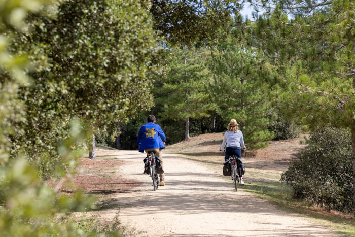 Accueil Vélo