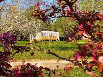 Mietunterkunft - Lodge Cerisier - Camping Vert Auxois