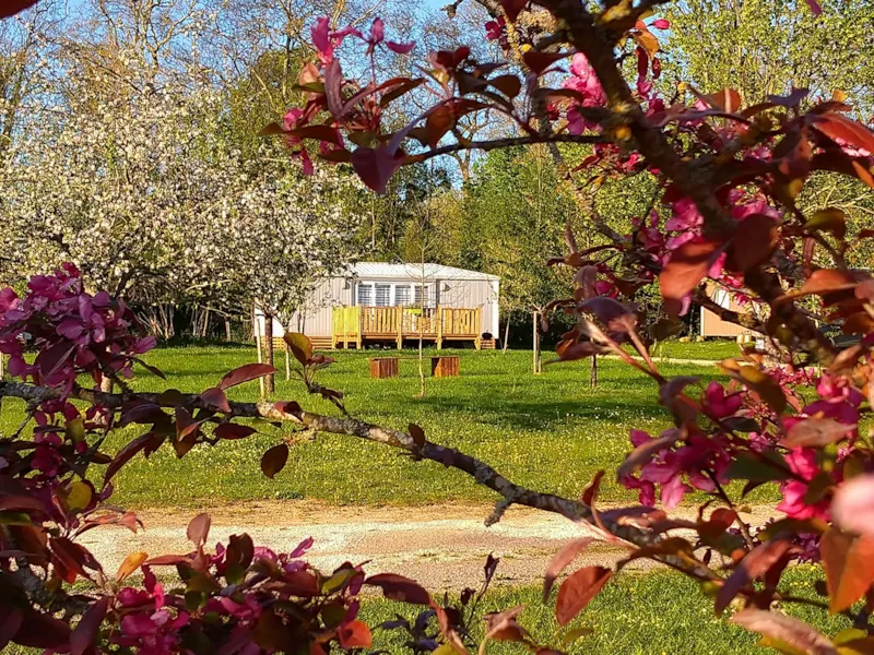 Lodge Cerisier 2 Chambres