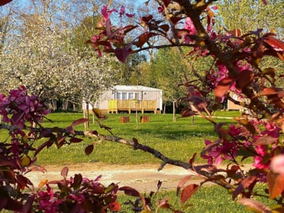 Lodge Cerisier - 2 rooms