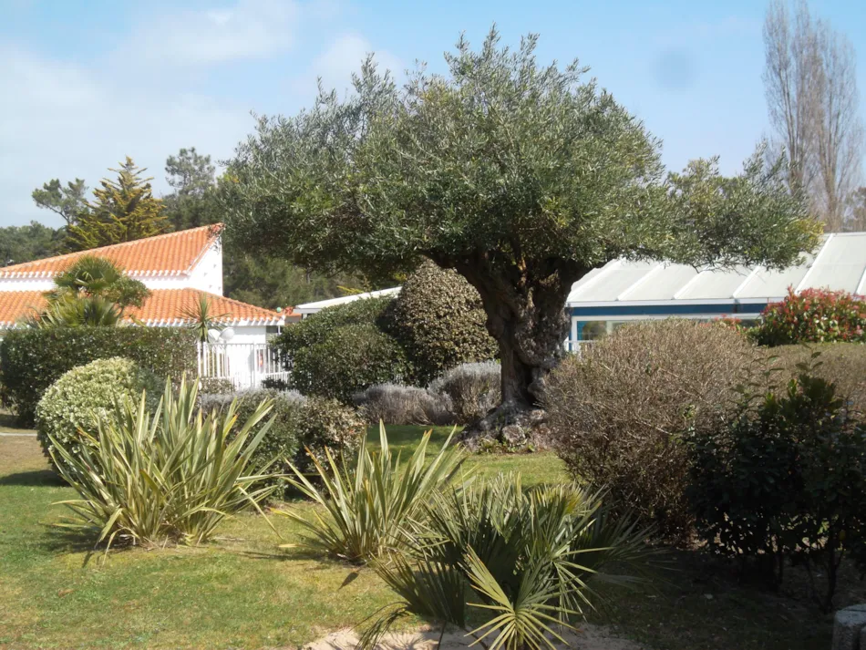 Le Hameau de L'Océan