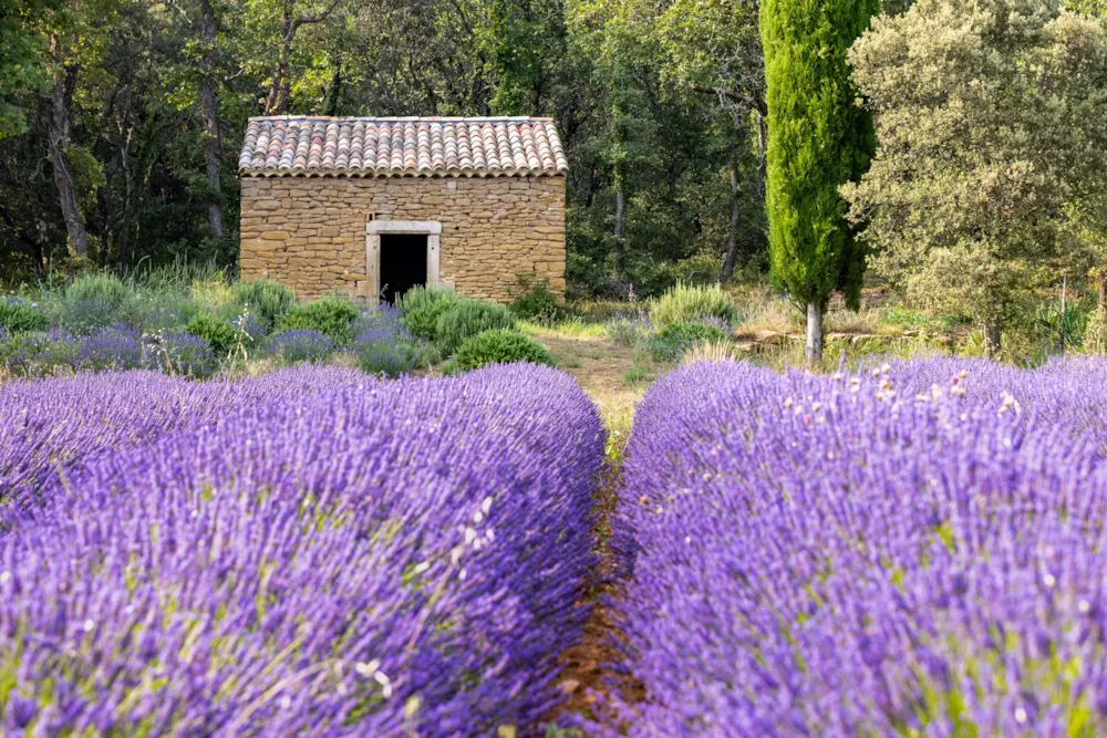 Camping de L'Hérein
