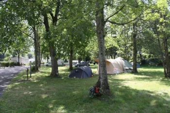 Stellplatz - Pauschale Stellplatz +  Strom 3A - Camping L'ARRIOU