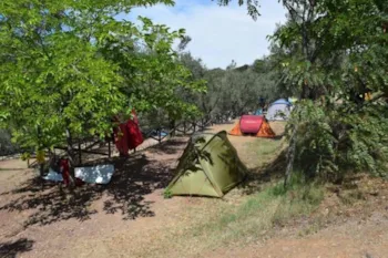 Emplacement - Emplacement (Tente Canadienne) - Camping Blucamp