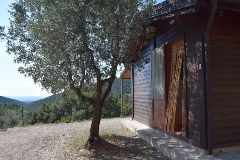 Bungalow  3 Pièces 27 M²