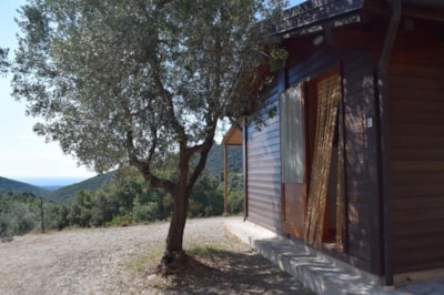 Bungalow 3 roomed 27 m² — 2