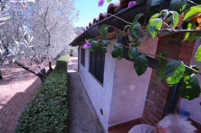 Bungalow one room — 5