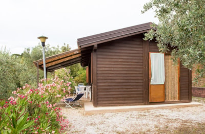 Bungalow 3 roomed 27 m² — 4