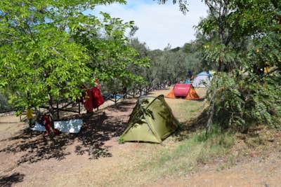 Camping Blucamp