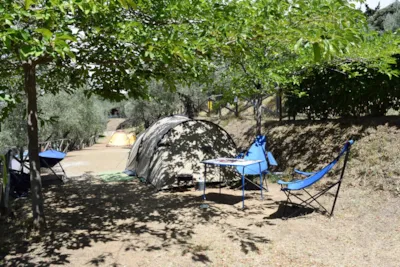 Camping Blucamp - Tuscany