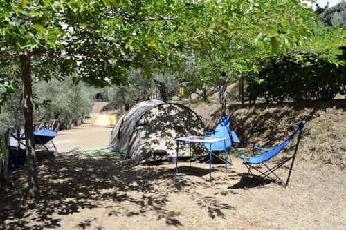Camping Blucamp