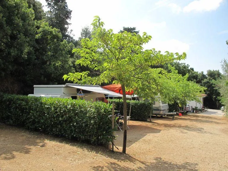 Emplacement Grand: Voiture Ou Moto + Tente/Caravane Ou Camping-Car + Électricité