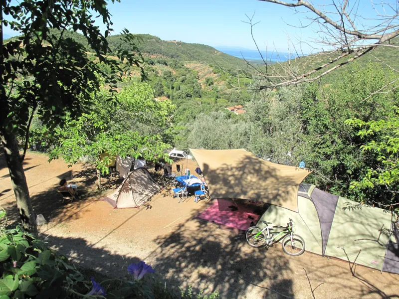 Emplacement Grand: Voiture Ou Moto + Tente/Caravane Ou Camping-Car + Électricité