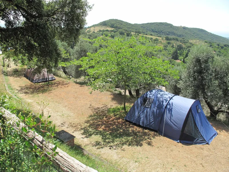 Emplacement Grand: Voiture Ou Moto + Tente/Caravane Ou Camping-Car + Électricité