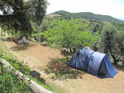 Big Pitch: car or motorcycle + tent/caravan or camping-car + electricity — 4
