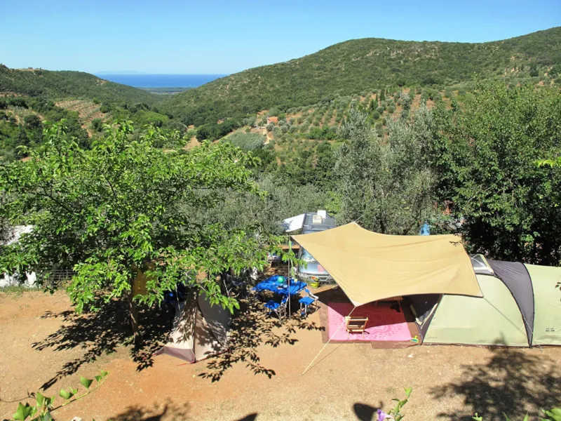 Emplacement Grand: Voiture Ou Moto + Tente/Caravane Ou Camping-Car + Électricité