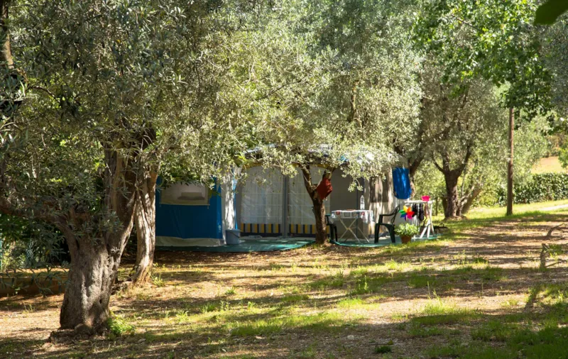 Emplacement Grand: Voiture Ou Moto + Tente/Caravane Ou Camping-Car + Électricité
