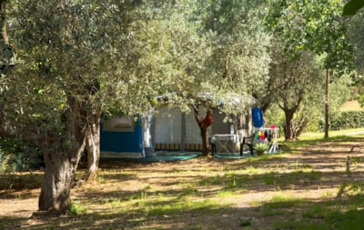 Big Pitch: car or motorcycle + tent/caravan or camping-car + electricity — 6