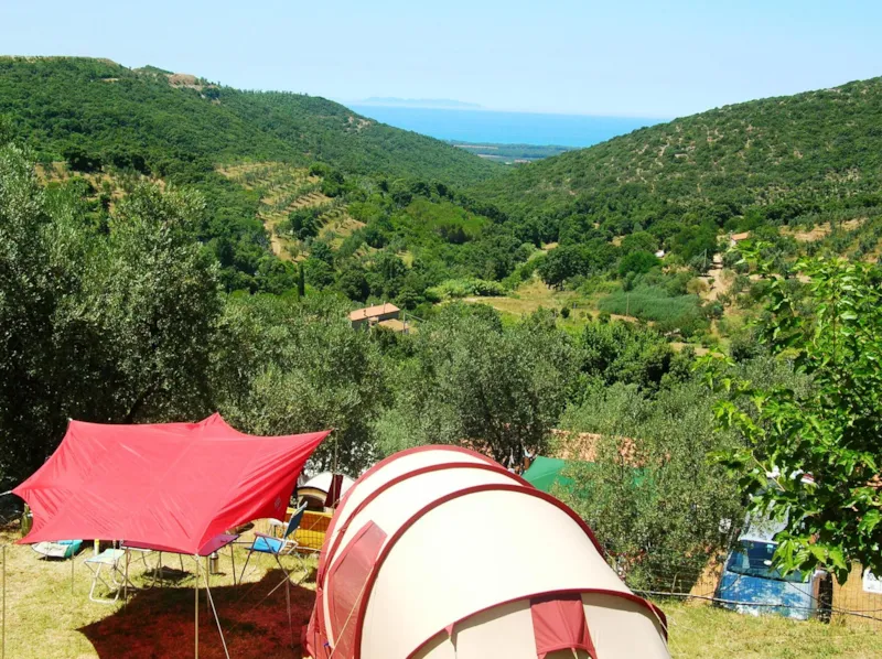Emplacement Grand: Voiture Ou Moto + Tente/Caravane Ou Camping-Car + Électricité