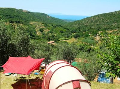 Big Pitch: car or motorcycle + tent/caravan or camping-car + electricity — 8