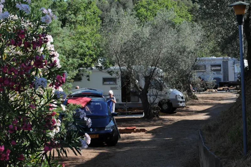 Emplacement Grand: Voiture Ou Moto + Tente/Caravane Ou Camping-Car + Électricité