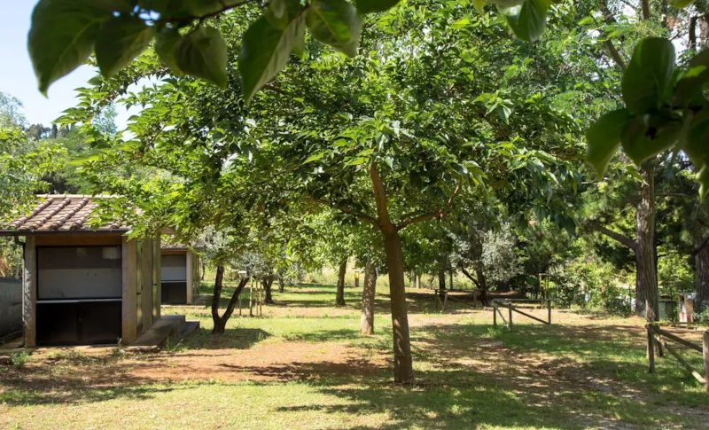 Emplacement: Voiture + Tente/Caravane Ou Camping-Car + Électricité + Sanitaires Privés