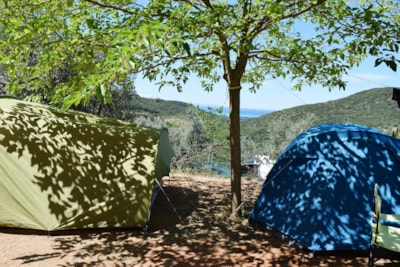 Pitch Medium: car or motorcycle + tent/caravan or camping-car + electricity — 3