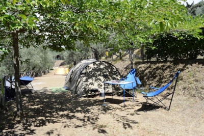Pitch Medium: car or motorcycle + tent/caravan or camping-car + electricity — 4