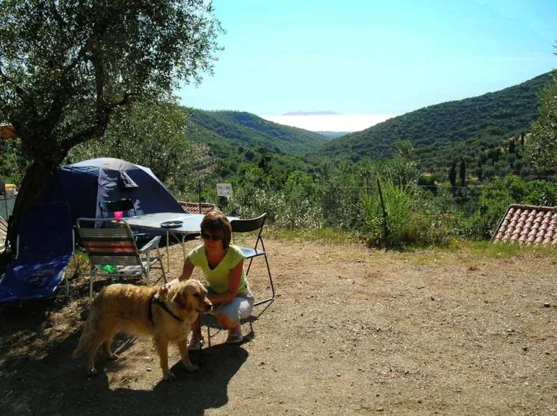 Emplacement Medium: Voiture Ou Moto + Tente/Caravane Ou Camping-Car + Électricité