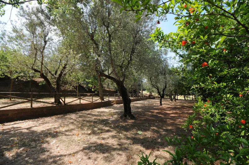 Emplacement Medium: Voiture Ou Moto + Tente/Caravane Ou Camping-Car + Électricité