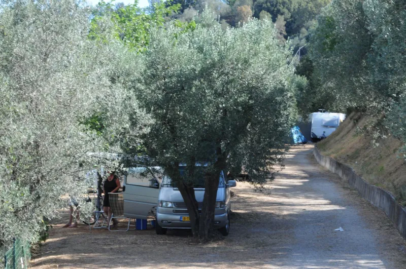 Emplacement Medium: Voiture Ou Moto + Tente/Caravane Ou Camping-Car + Électricité