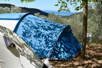 Emplacement - Emplacement Medium Panoramica: Voiture Ou Moto + Tente/Caravane Ou Camping-Car + Électricité - Camping Blucamp