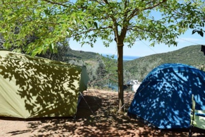 Pitch Medium Panoramica: car or motorcycle + tent/caravan or camping-car + electricity — 3