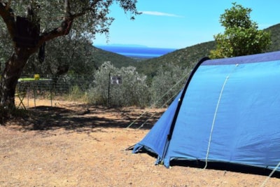 Pitch Medium Panoramica: car or motorcycle + tent/caravan or camping-car + electricity — 4