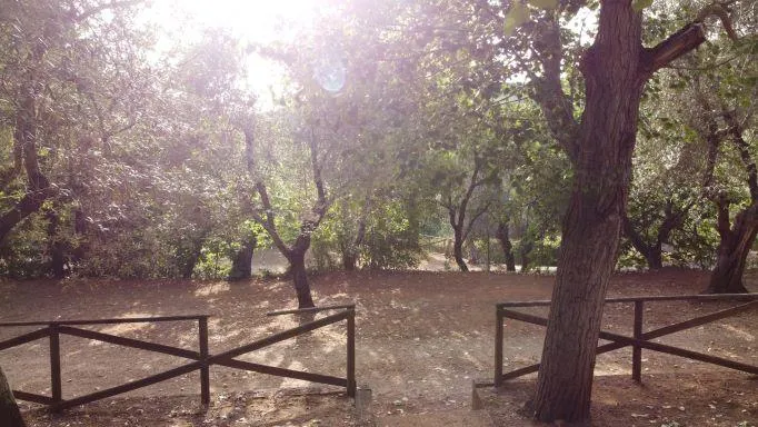 Emplacement Grand Comfort: Voiture Ou Moto + Tente/Caravane Ou Camping-Car + Électricité