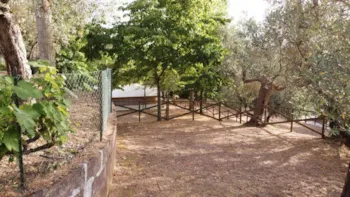 Stellplatz - Stellplatz Medium Comfort: Auto Oder Motorrad + Zelt/Wohnwagen Oder Wohnmobil + Strom - Camping Blucamp