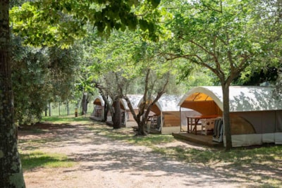 Canvas Lodge 32 m² — 4