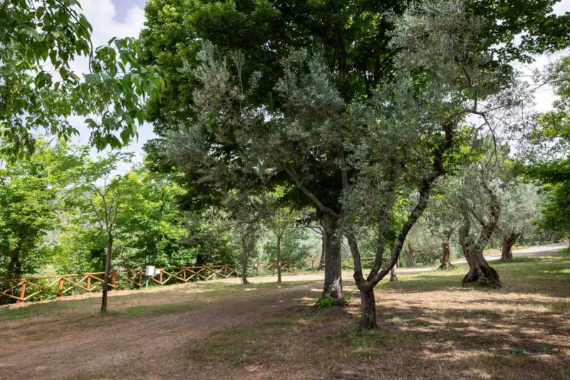 Emplacement Grand Comfort: Voiture Ou Moto + Tente/Caravane Ou Camping-Car + Électricité