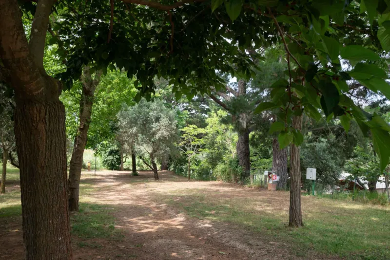 Emplacement Grand Comfort: Voiture Ou Moto + Tente/Caravane Ou Camping-Car + Électricité