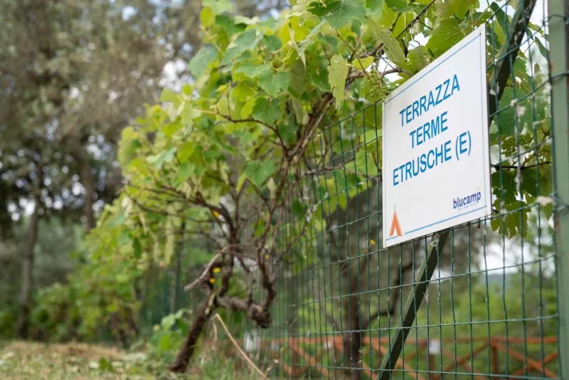 Emplacement Medium Panoramica: Voiture Ou Moto + Tente/Caravane Ou Camping-Car + Électricité