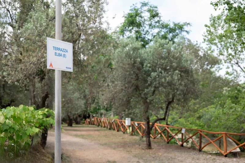 Emplacement Medium Panoramica: Voiture Ou Moto + Tente/Caravane Ou Camping-Car + Électricité