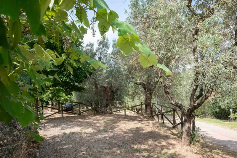 Emplacement Medium Panoramica: Voiture Ou Moto + Tente/Caravane Ou Camping-Car + Électricité