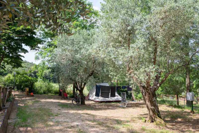 Emplacement Medium Panoramica: Voiture Ou Moto + Tente/Caravane Ou Camping-Car + Électricité