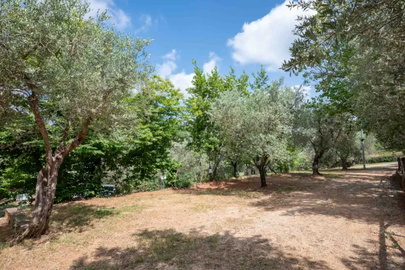 Emplacement Medium Panoramica: Voiture Ou Moto + Tente/Caravane Ou Camping-Car + Électricité