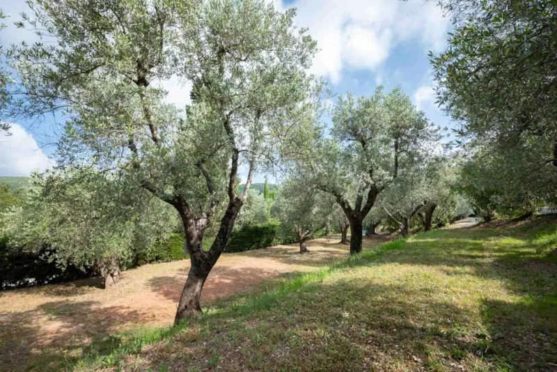 Emplacement Medium Comfort: Voiture Ou Moto + Tente/Caravane Ou Camping-Car + Électricité