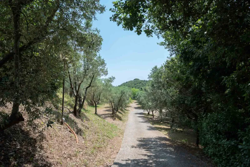 Emplacement Medium Comfort: Voiture Ou Moto + Tente/Caravane Ou Camping-Car + Électricité