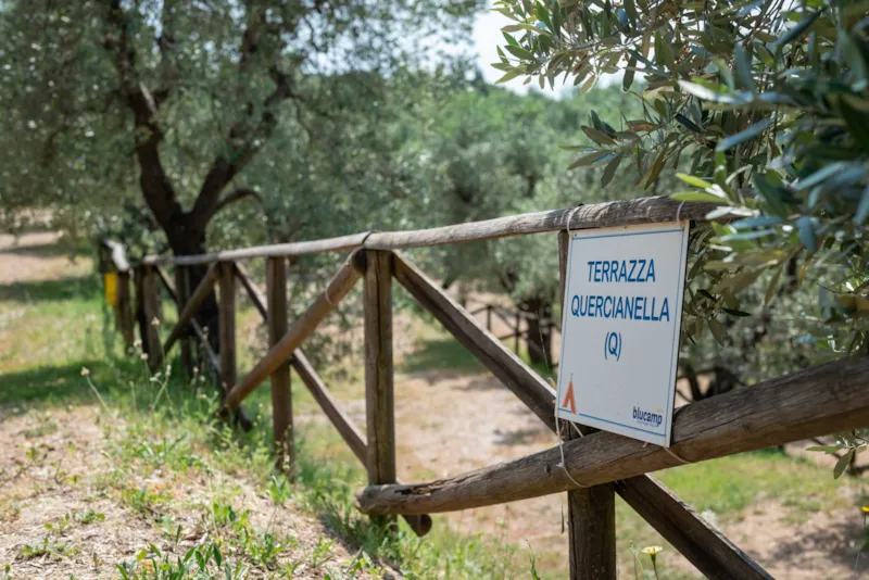 Emplacement Medium Comfort: Voiture Ou Moto + Tente/Caravane Ou Camping-Car + Électricité