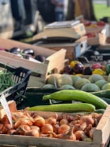 Foto #13 van Camping Le Septentrion