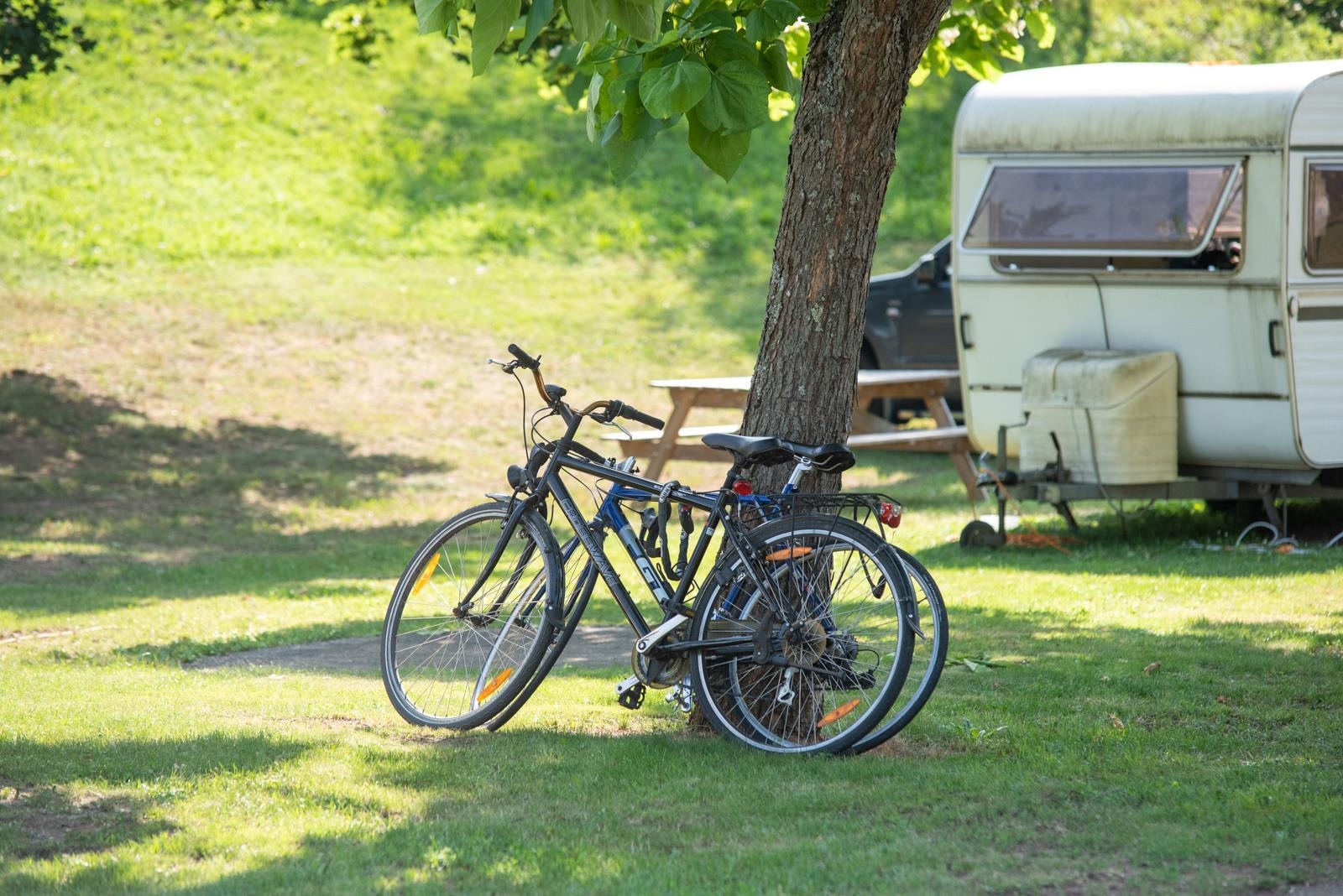 Camping La Trillonnière — Photo 4